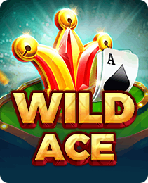 Wild Ace slot game on 2J Game